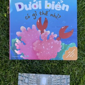 Dưới Biển Có Gì Thế Nhỉ?